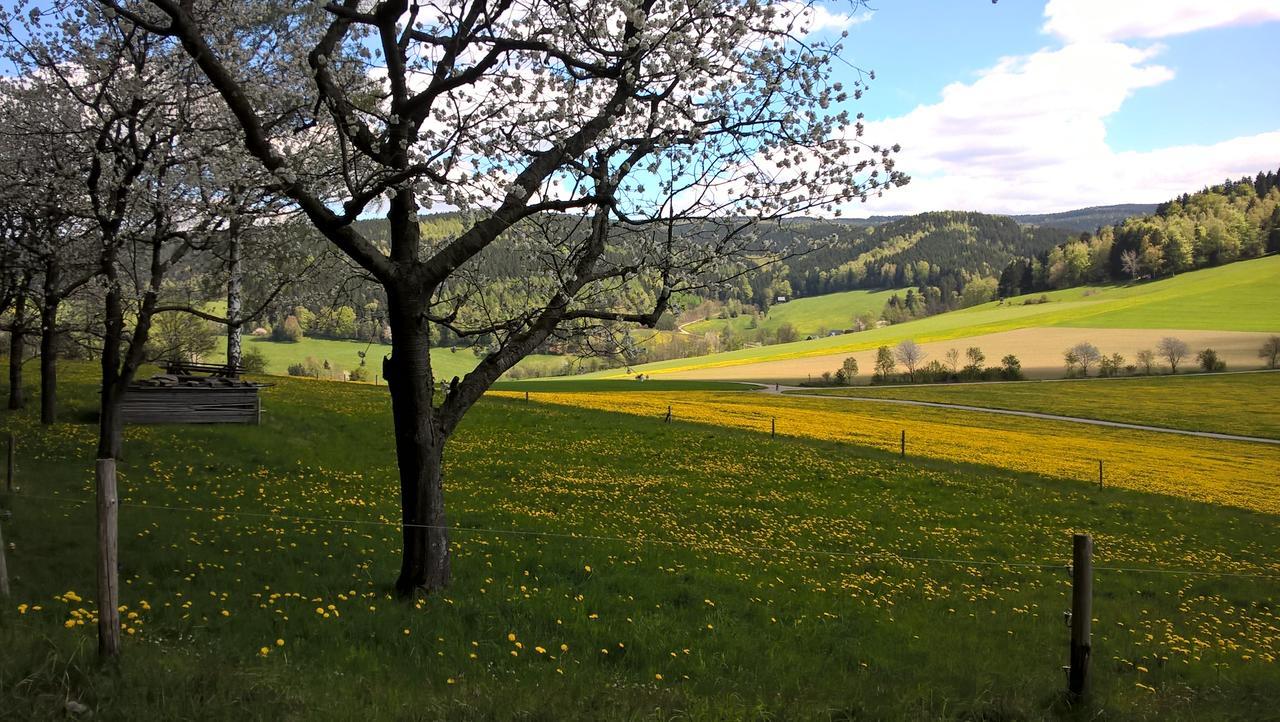 Ferienwohnungen Weissflog Schwarzenberg  Dış mekan fotoğraf